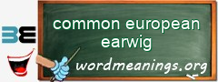 WordMeaning blackboard for common european earwig